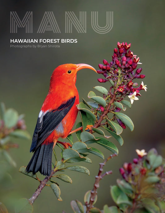 MANU zine Hawaiian Forest Birds (2026)